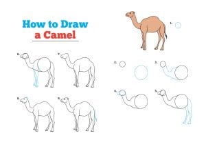 طريقة رسم جمل للأطفال بالصور بأكثر من طريقة - تعليم الرسم - فورنونو