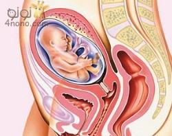 ماذا يحدث اذا لم يتخذ الجنين الوضع الطبيعى للولادة Tips-for-pregnant-women-250x198