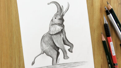 Photo of علمي طفلك طريقة رسم الفيل بالصور كالمحترفين