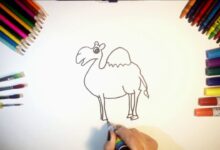تعليم الاطفال طريقة رسم جمل بالصور